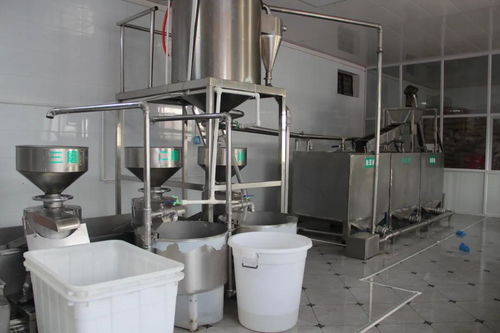新密市 浮戲山 豆腐你吃過嗎 豆花香食品廠 新密食品行業的新星